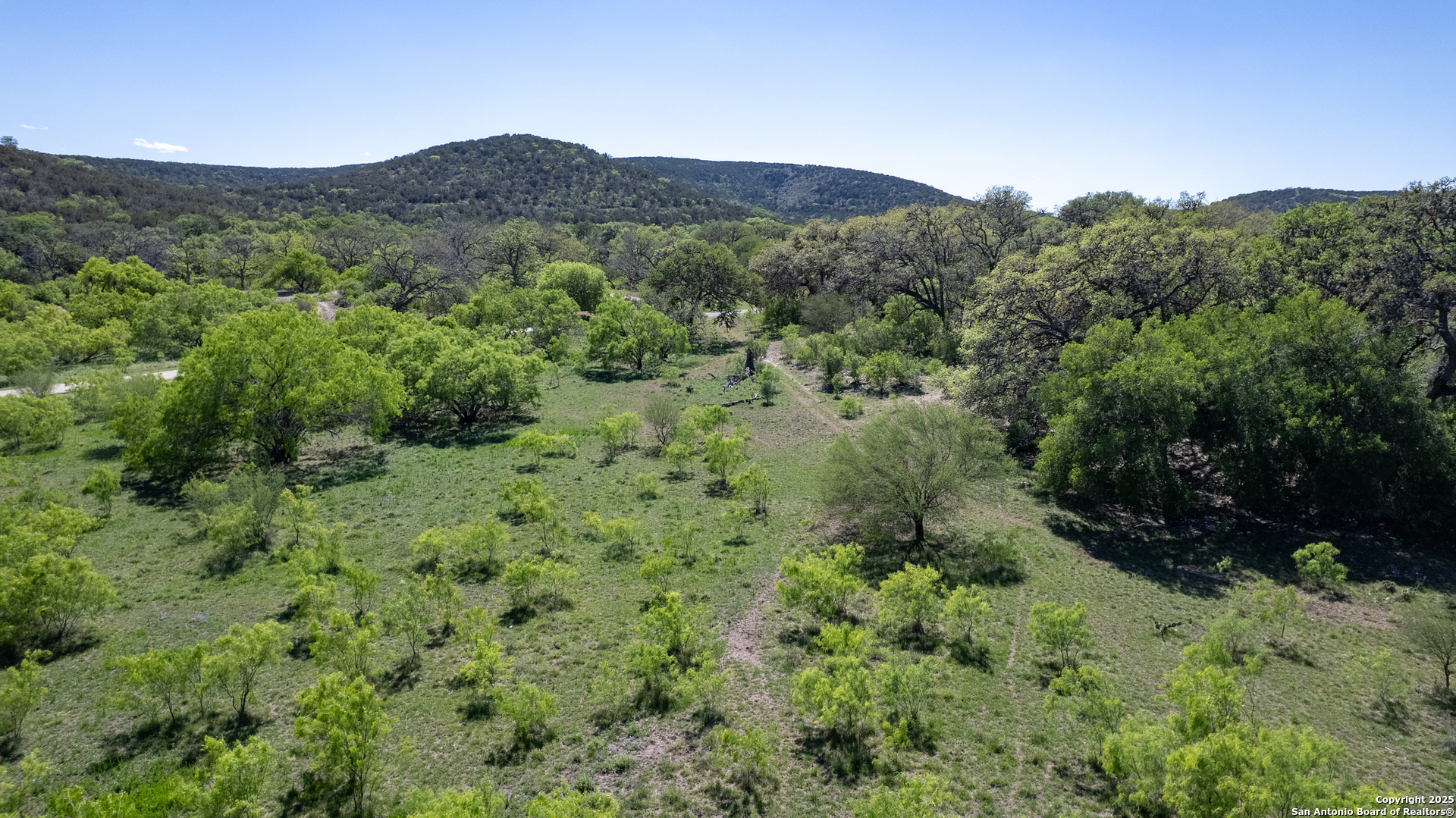22 Camino Del Rancho Concan, TX 78838 - Photo 3 of 16 a view of a lush green forest with trees in the background