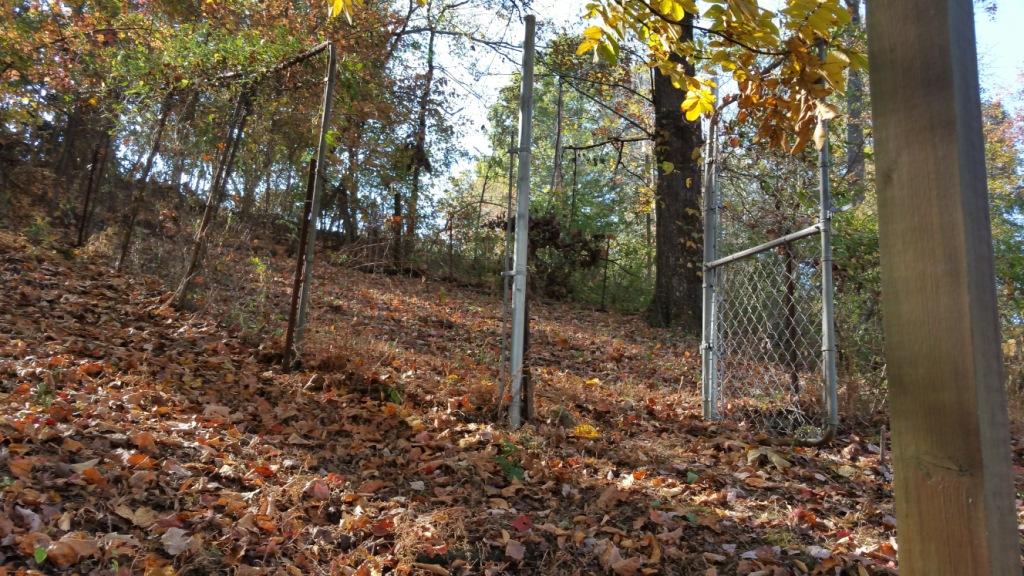 807 Wilson Road Oliver Springs, TN 37840 - Photo 11 of 12 Fenced in Area for animals