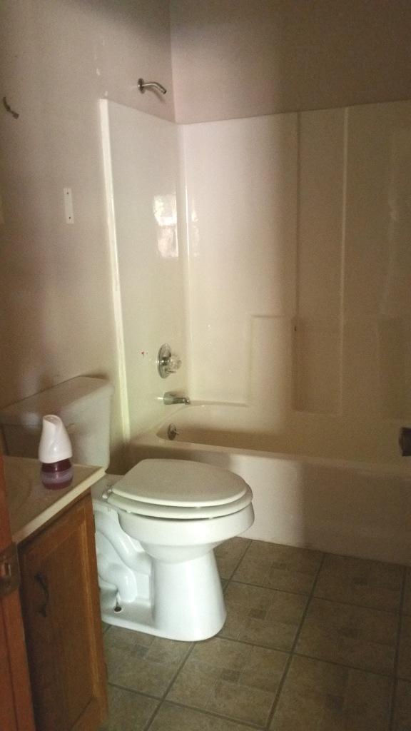 807 Wilson Road Oliver Springs, TN 37840 - Photo 6 of 12 Master bath