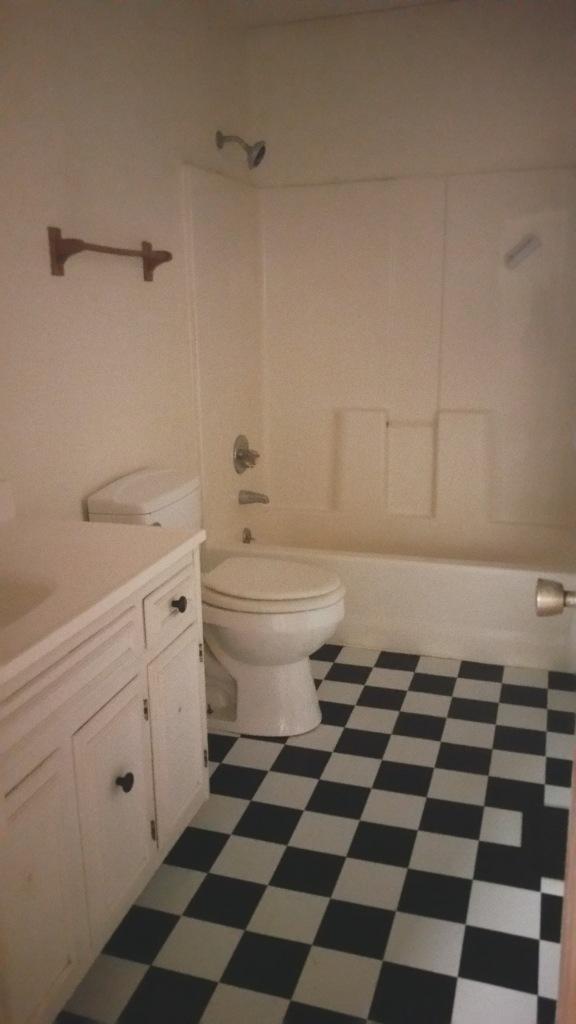 807 Wilson Road Oliver Springs, TN 37840 - Photo 9 of 12 2nd Bathroom