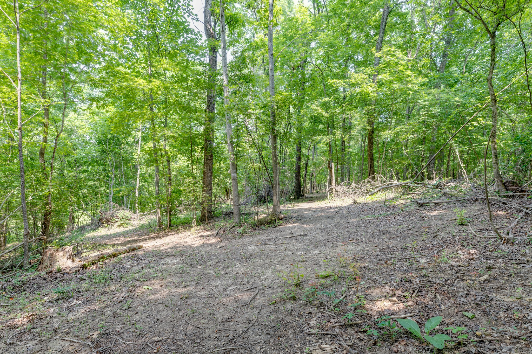 987 Hall Cemetery Road Burns, TN 37029 - Photo 12 of 25 Gallery Image 12