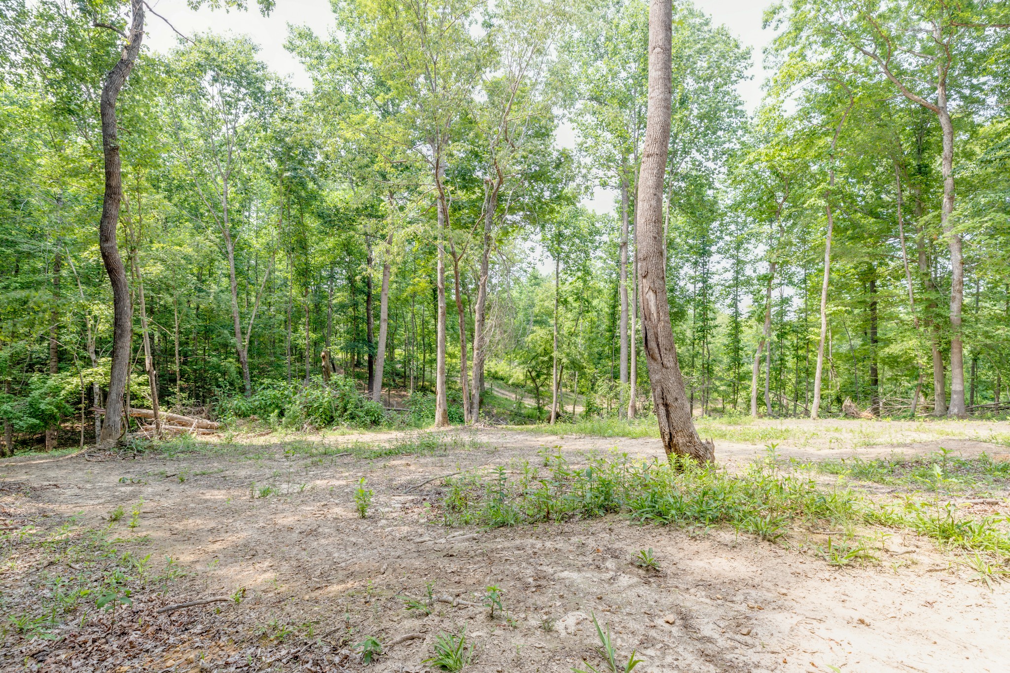 987 Hall Cemetery Road Burns, TN 37029 - Photo 20 of 25 Gallery Image 20
