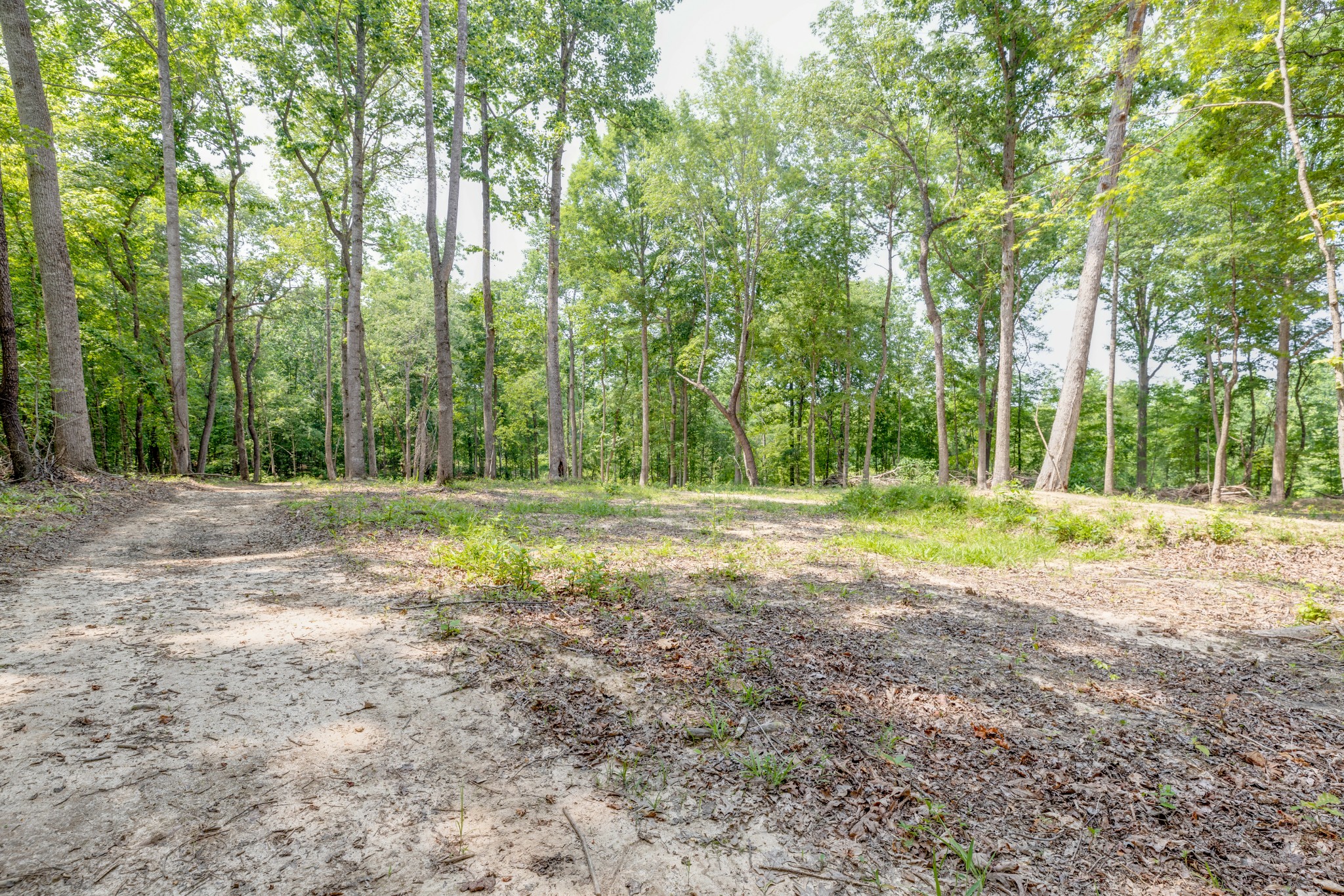 987 Hall Cemetery Road Burns, TN 37029 - Photo 22 of 25 Gallery Image 22