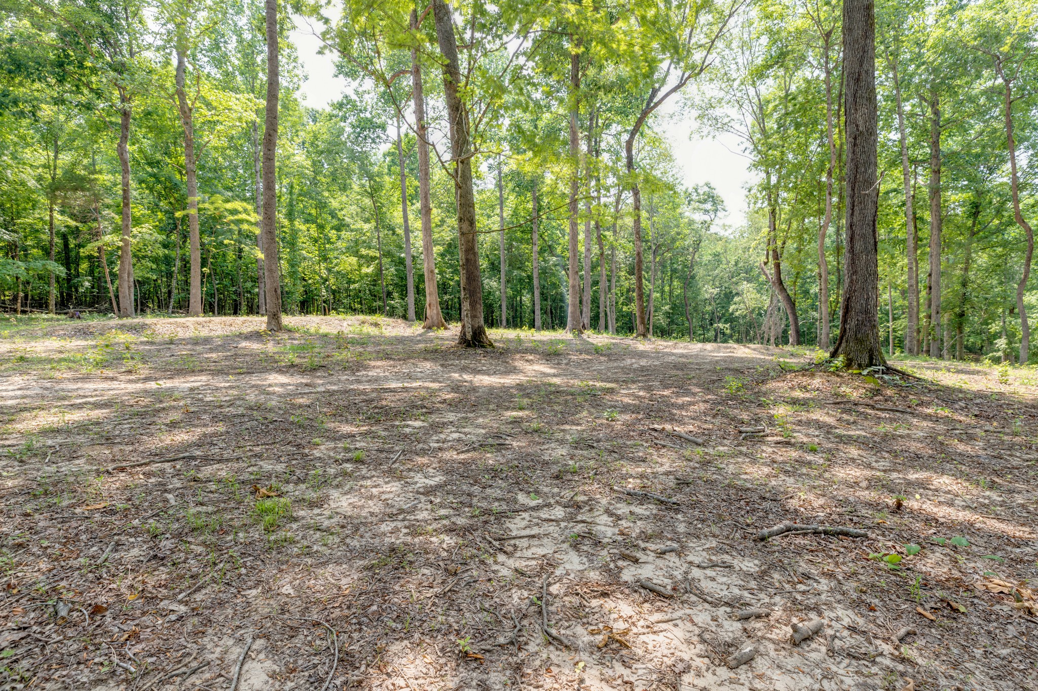 987 Hall Cemetery Road Burns, TN 37029 - Photo 25 of 25 Gallery Image 25