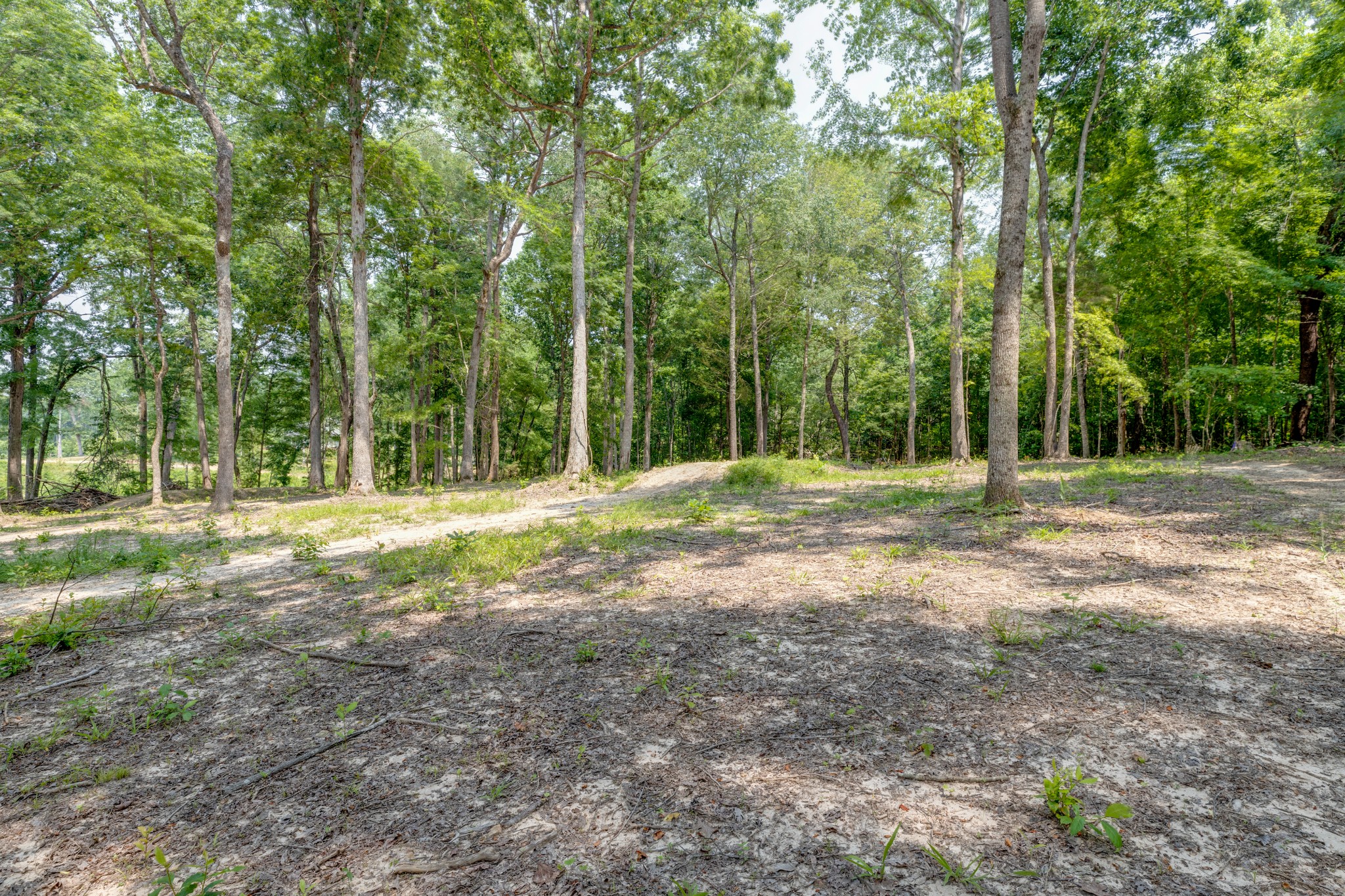 987 Hall Cemetery Road Burns, TN 37029 - Photo 6 of 25 Gallery Image 6