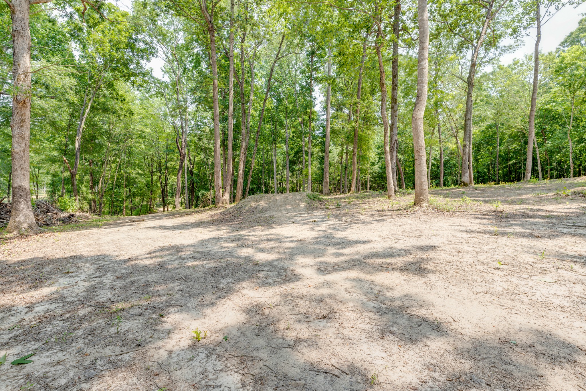 987 Hall Cemetery Road Burns, TN 37029 - Photo 7 of 25 Gallery Image 7