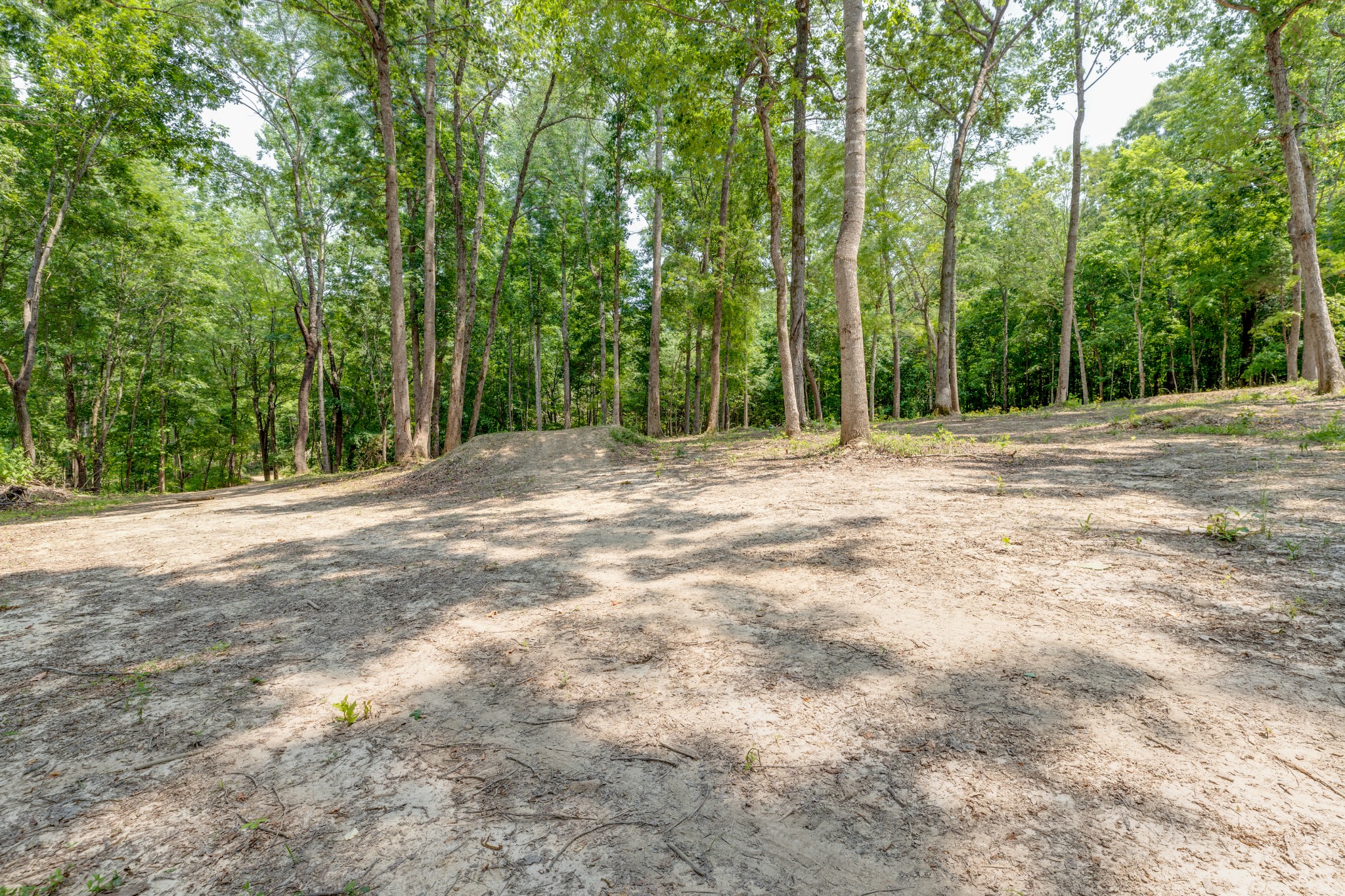 987 Hall Cemetery Road Burns, TN 37029 - Photo 8 of 25 Gallery Image 8