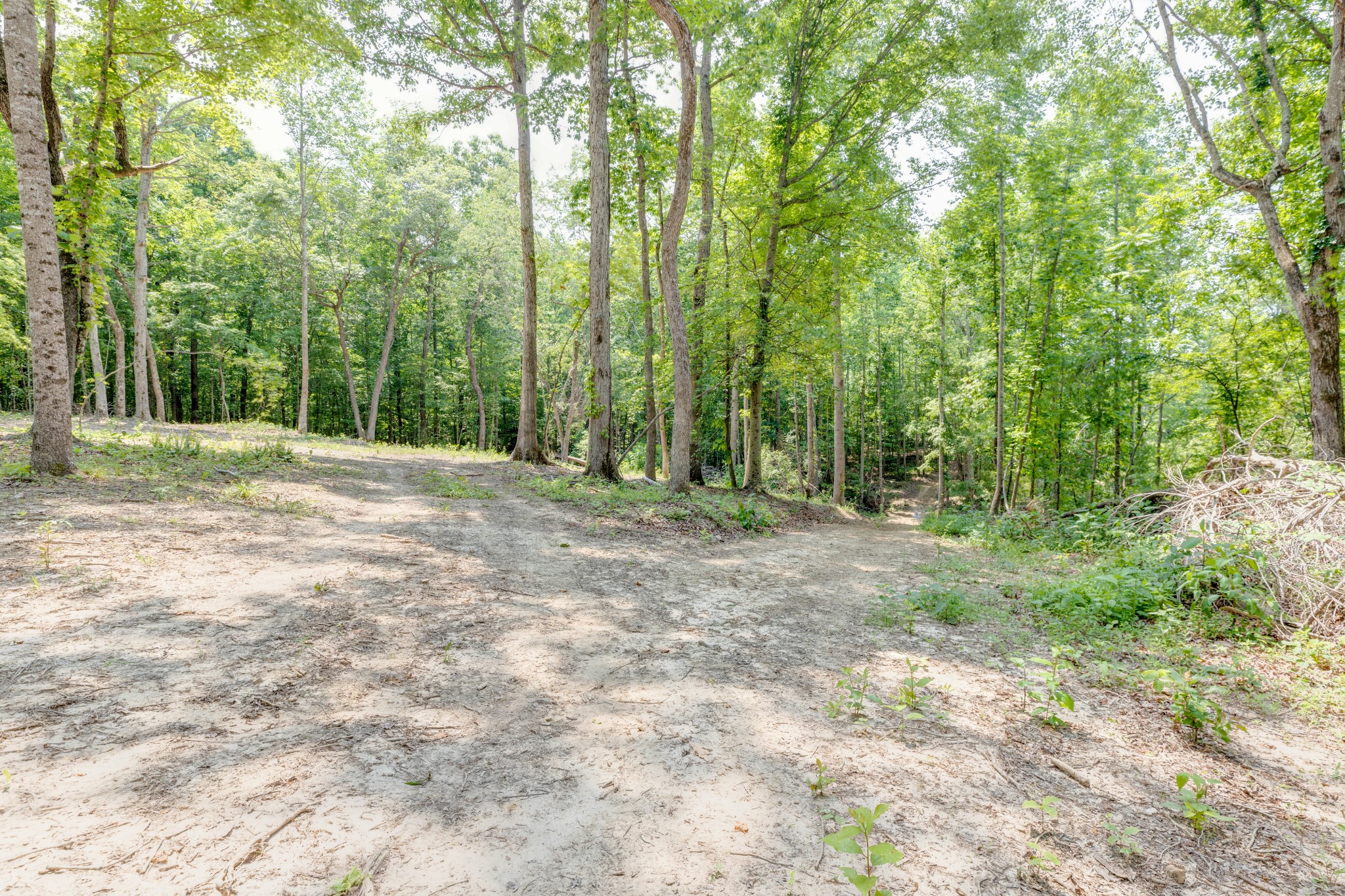 987 Hall Cemetery Road Burns, TN 37029 - Photo 9 of 25 Gallery Image 9