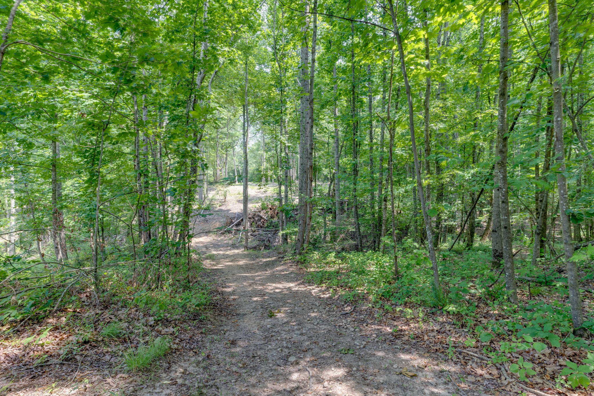 987 Hall Cemetery Road Burns, TN 37029 - Photo 10 of 25 Gallery Image 10