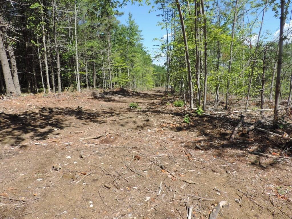 14-5 Fessenden Hill Road Denmark, ME 04022 - Photo 6 of 10 Photo