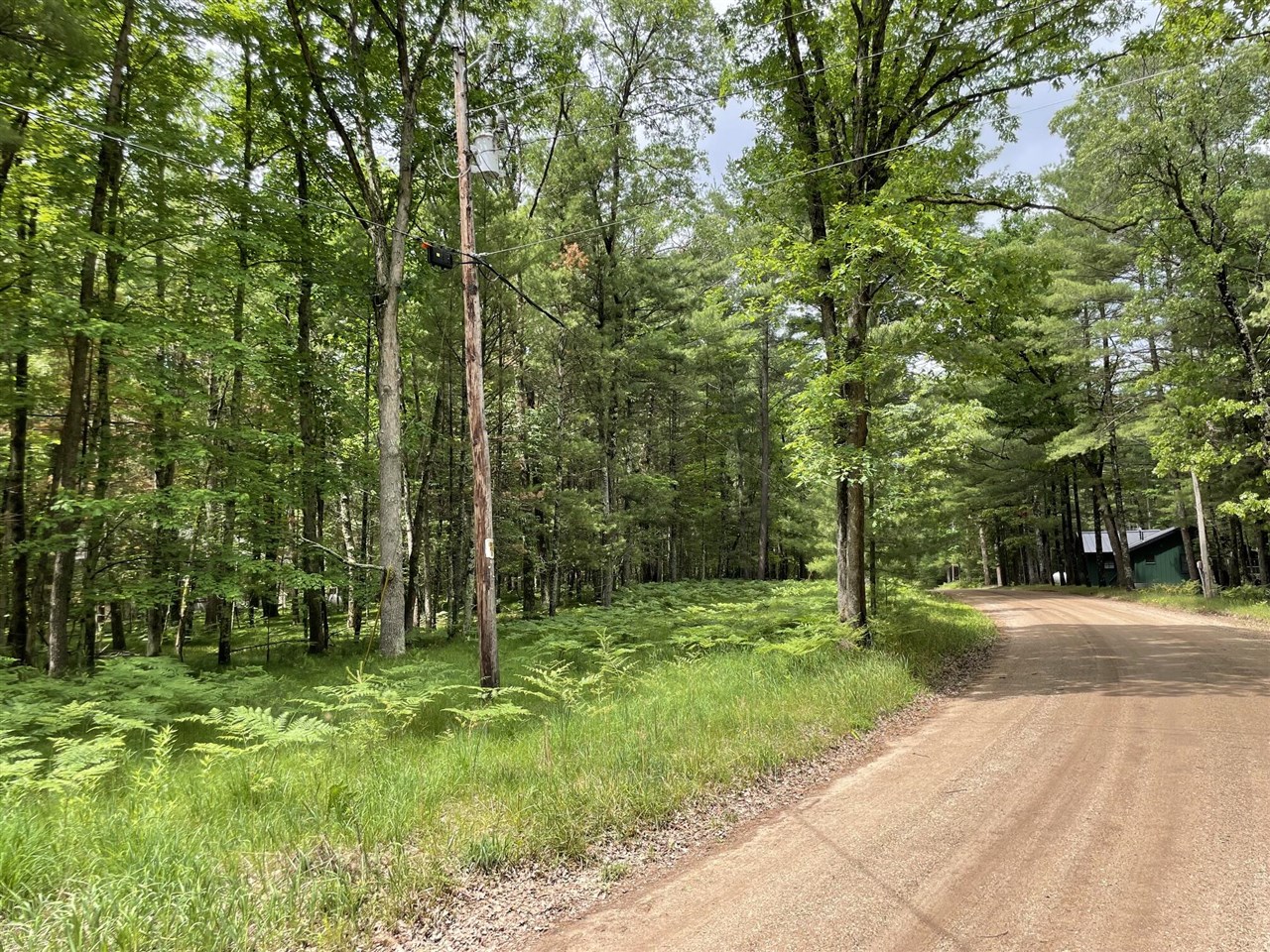 8725 West River Road Irons, MI 49644 - Photo 36 of 37