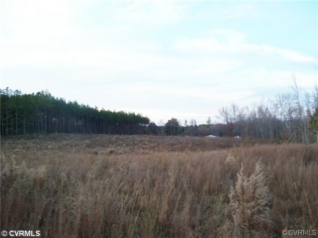 0 Old Cox Road Church Road, VA 23833 - Photo 1 of 4 Land