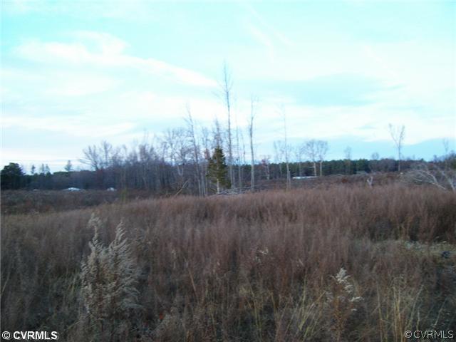 0 Old Cox Road Church Road, VA 23833 - Photo 2 of 4 Land