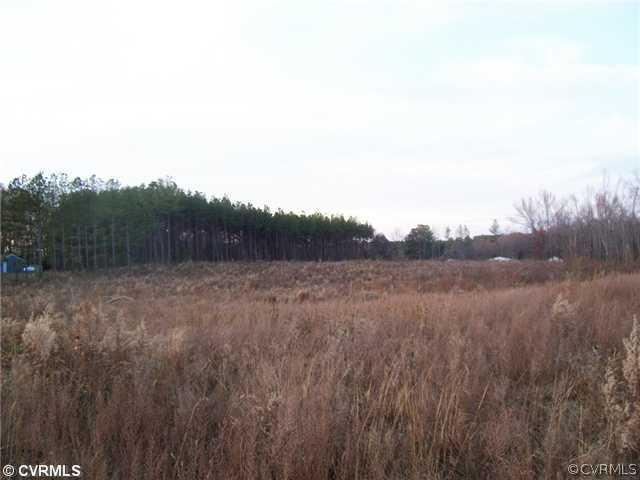 0 Old Cox Road Church Road, VA 23833 - Photo 4 of 4 Land