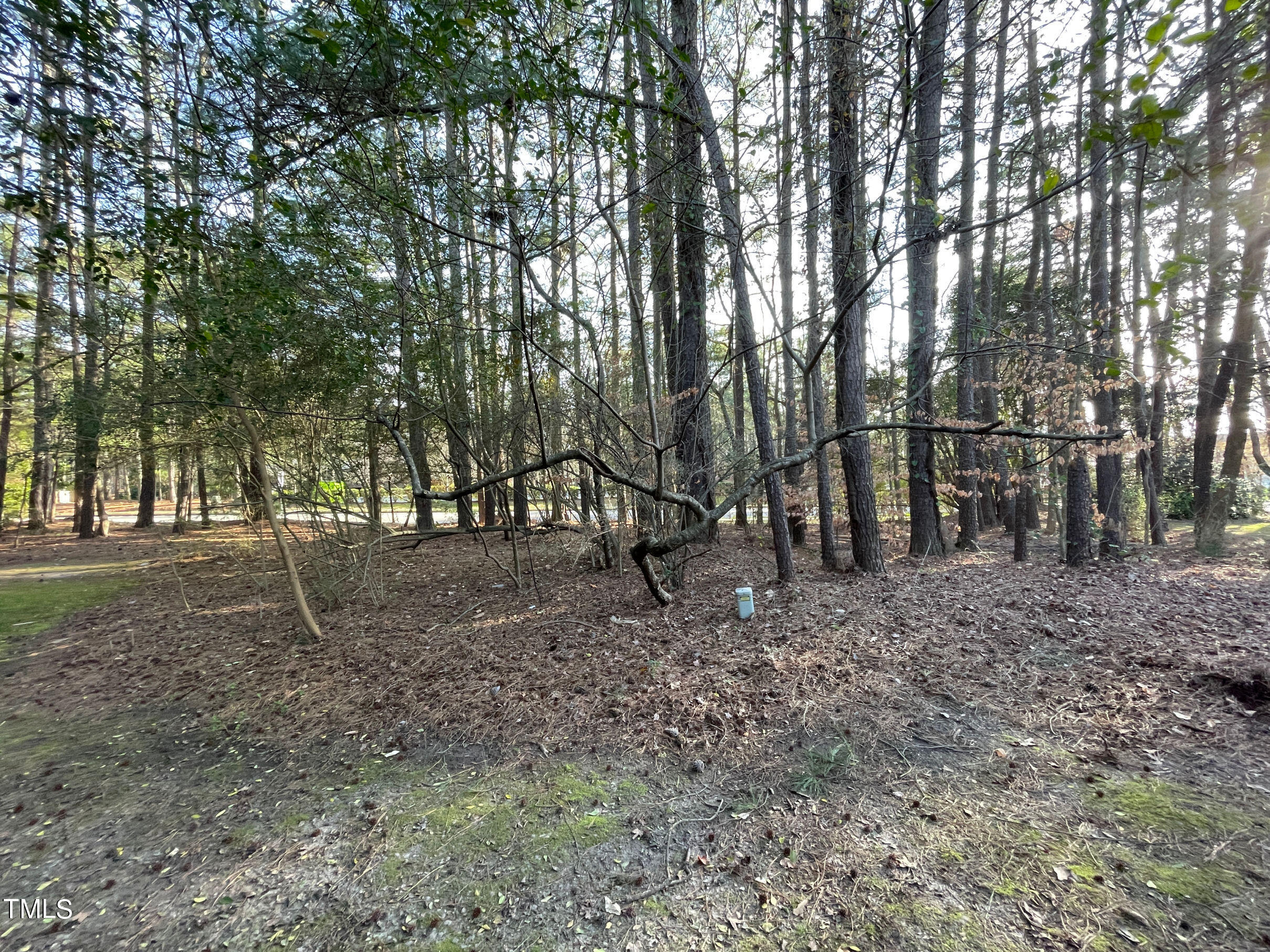 217 Wetherburn Lane Raleigh, NC 27615 - Photo 25 of 27 20240217_211525851_iOS