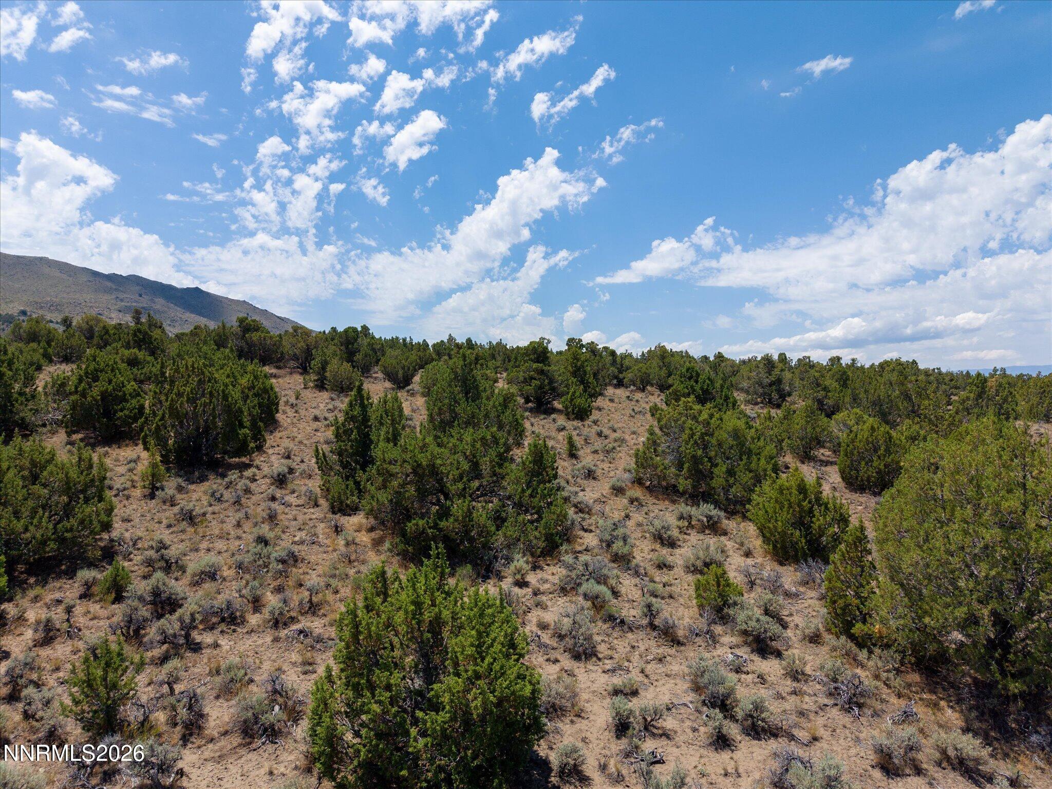 1230 Deerlodge Road Reno, NV 89508 - Photo 35 of 44 02-1230 Deerlodge Rd-101