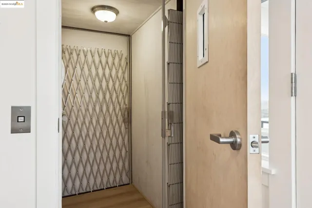 a outdoor space with the couches and a potted plant