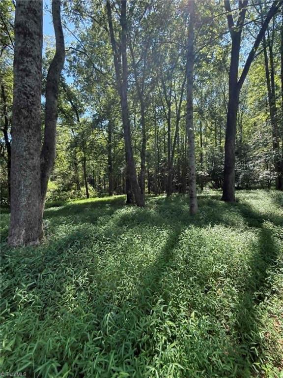 2633 Sprouse Road Boonville, NC 27011 - Photo 12 of 19