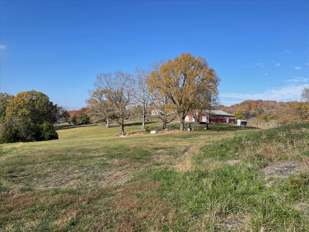 954 Molino Road Taft, TN 38488 - Photo 58 of 64 a view of outdoor space with green field and trees all around