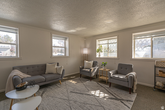 1045 Fox Farm Road Logan, UT 84321 - Photo 12 of 65 Carpeted living room featuring healthy amount of natural light, a textured ceiling, and ornamental molding