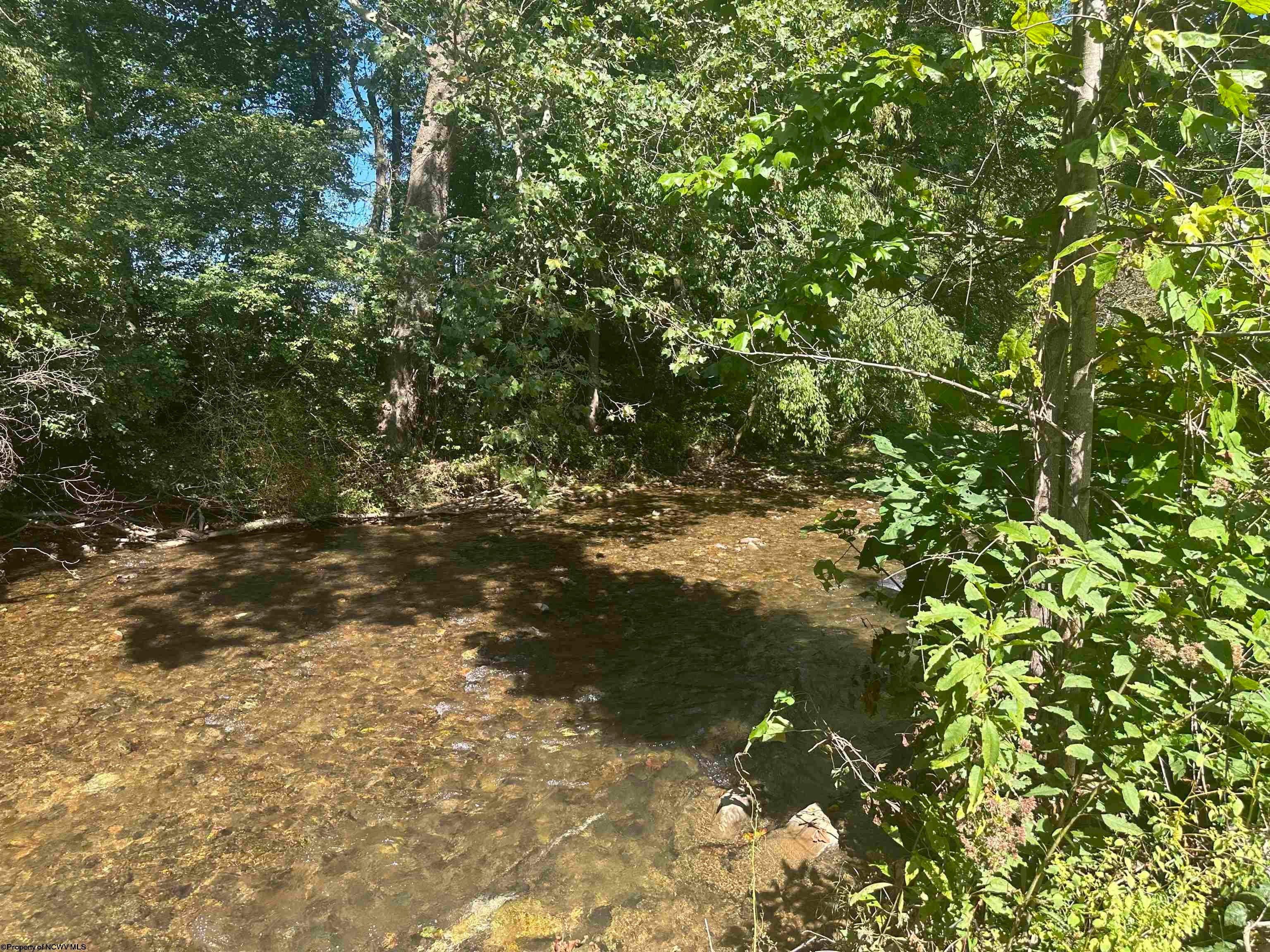 133 Back Road Mill Creek, WV 26280 - Photo 6 of 16 Gallery Image 6