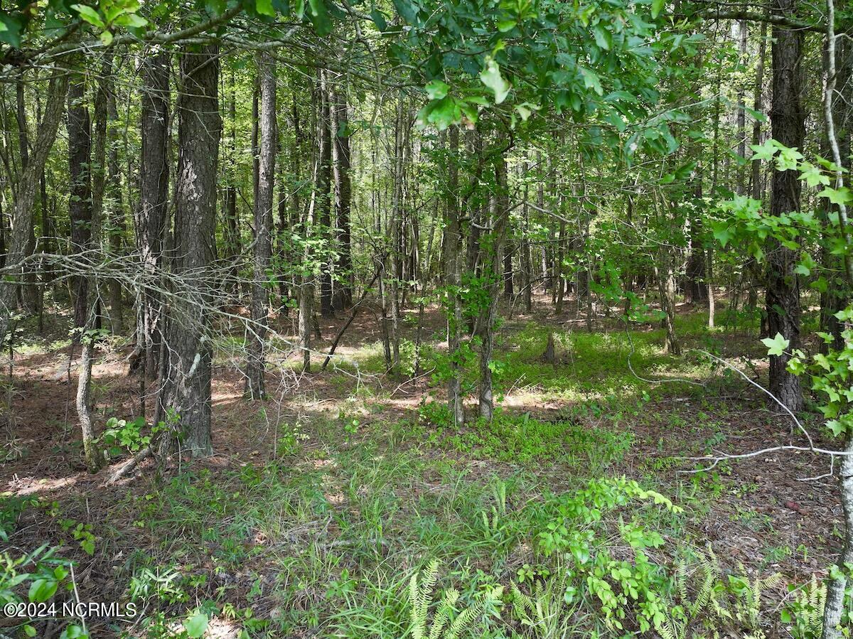 0 Woodruff Road Selma, NC 27576 - Photo 31 of 42 31