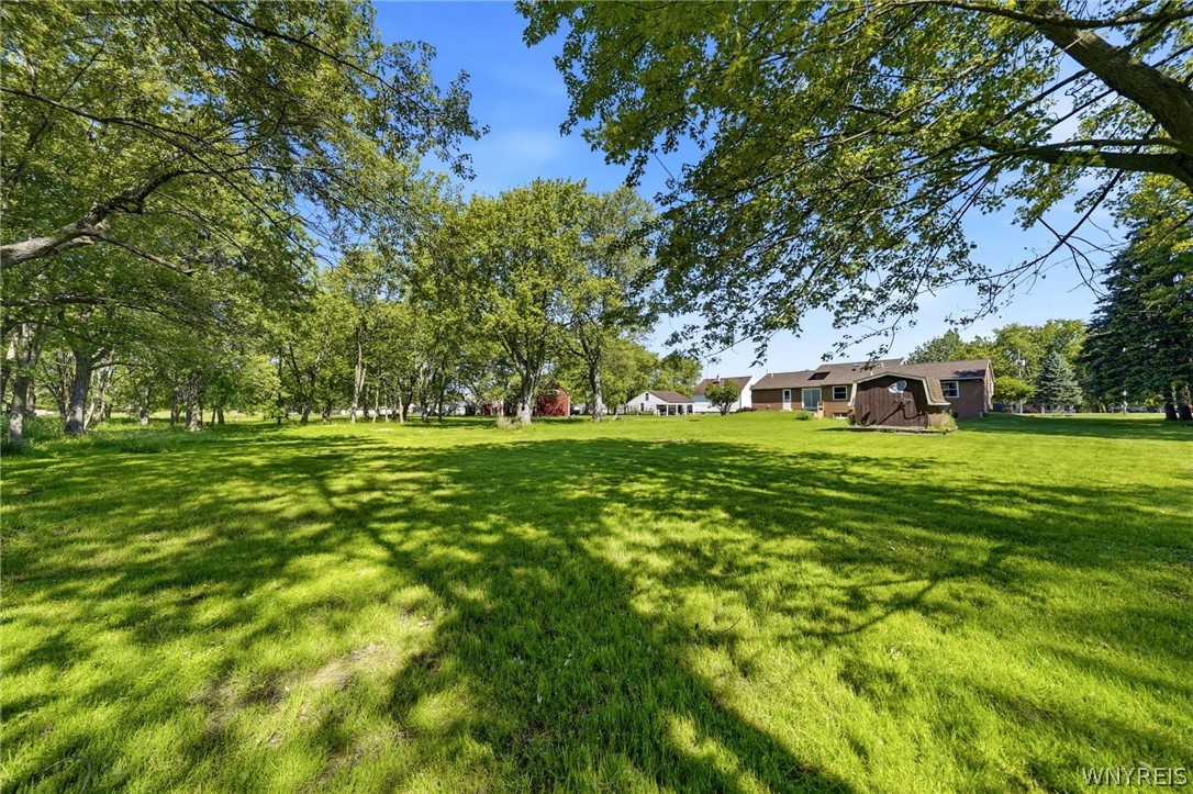 535 Seneca Creek Road West Seneca, NY 14224 - Photo 44 of 49