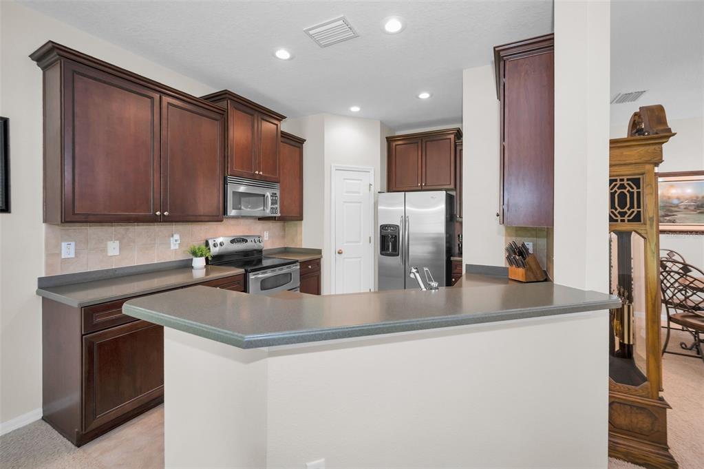 8525 Shallow Creek Court New Port Richey, FL 34653 - Photo 22 of 59
