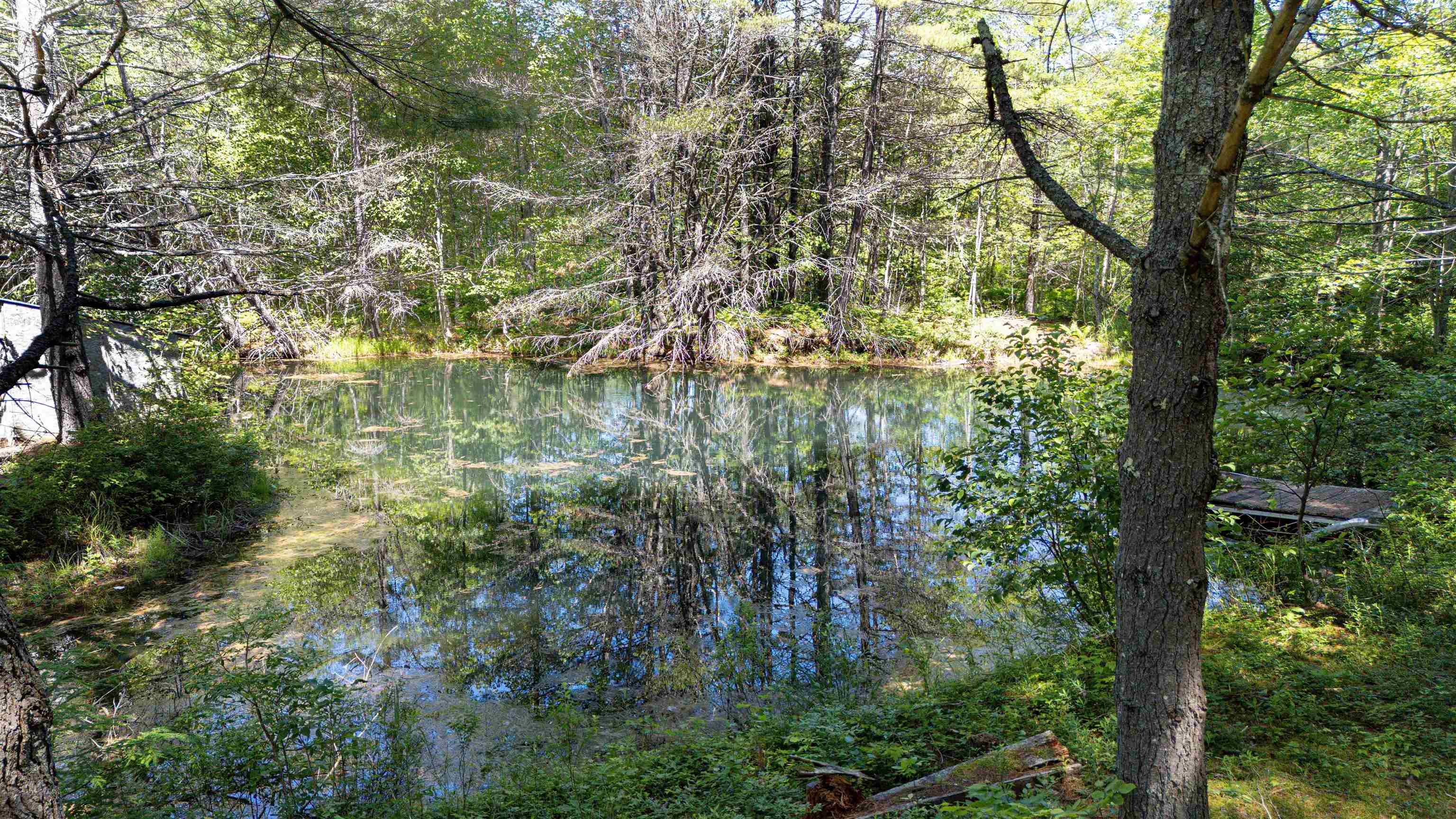304 Kearsarge Valley Road North Sutton, NH 03260 - Photo 41 of 45
