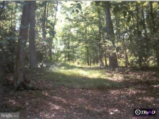 0 Wheatfield Road Sinking Spring, PA 19608 - Photo 3 of 4