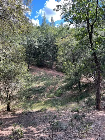$60,000 | 0 Loggers Trail, Colfax, CA 95713