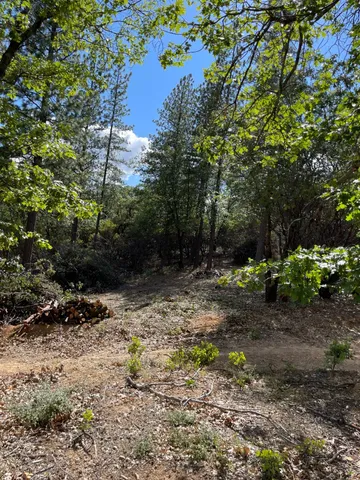 $60,000 | 0 Loggers Trail, Colfax, CA 95713
