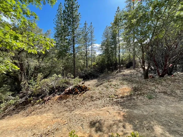 $60,000 | 0 Loggers Trail, Colfax, CA 95713