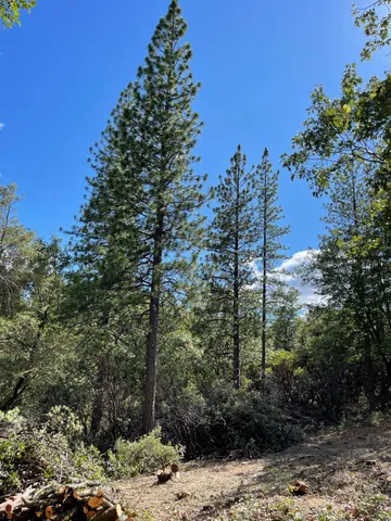 $60,000 | 0 Loggers Trail, Colfax, CA 95713