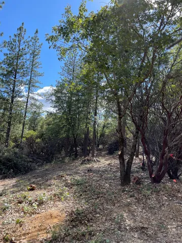 $60,000 | 0 Loggers Trail, Colfax, CA 95713