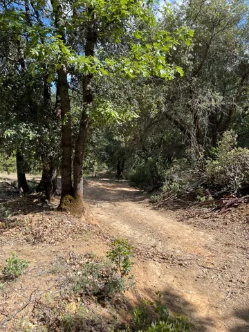 $60,000 | 0 Loggers Trail, Colfax, CA 95713