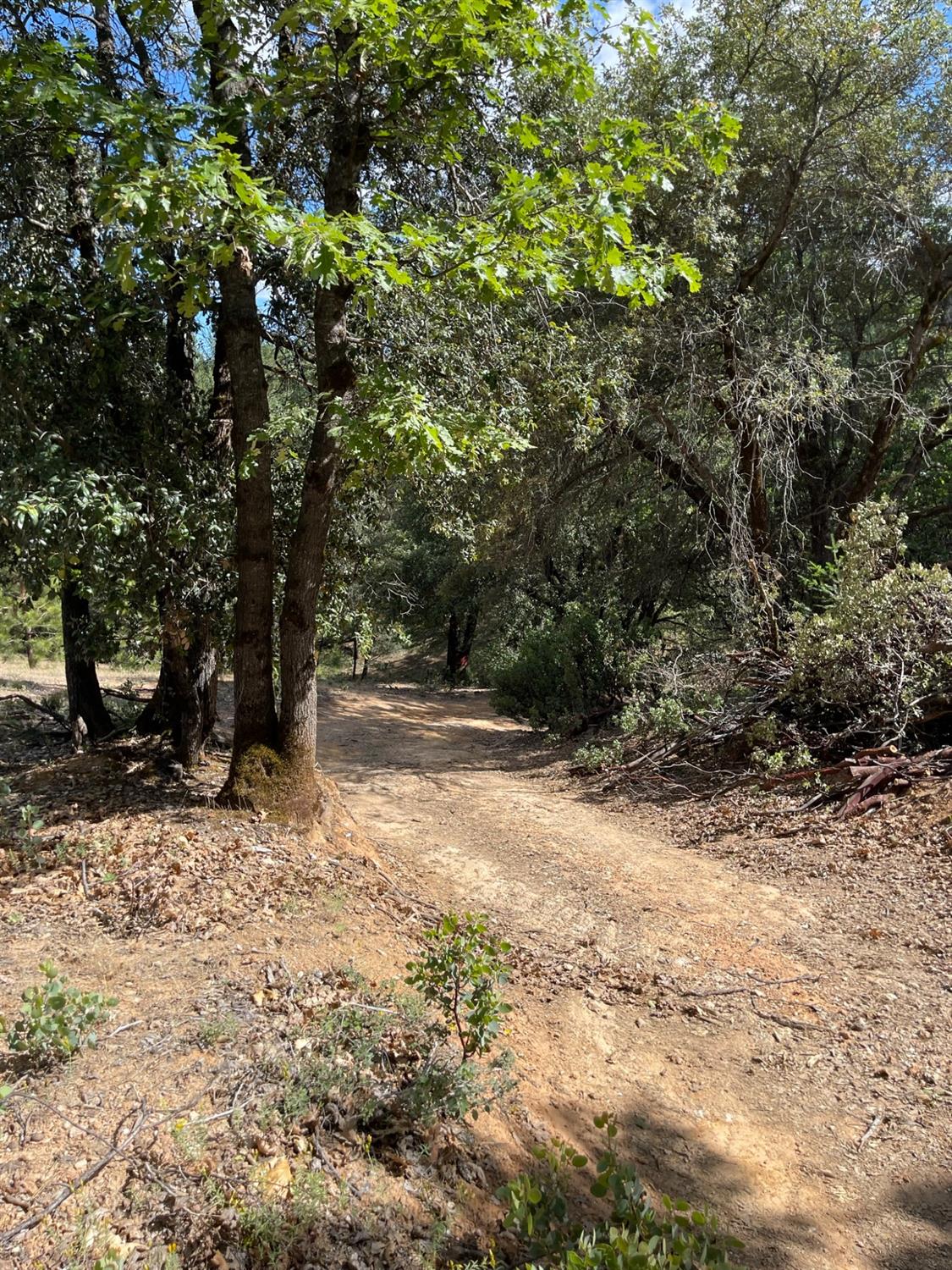 0 Loggers Trail Colfax, CA 95713 - Photo 15 of 54