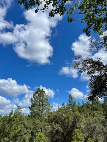 $60,000 | 0 Loggers Trail, Colfax, CA 95713