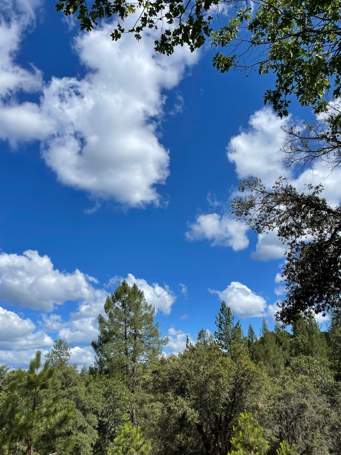 0 Loggers Trail Colfax, CA 95713 - Photo 16 of 54