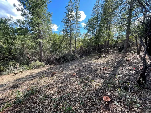 $60,000 | 0 Loggers Trail, Colfax, CA 95713