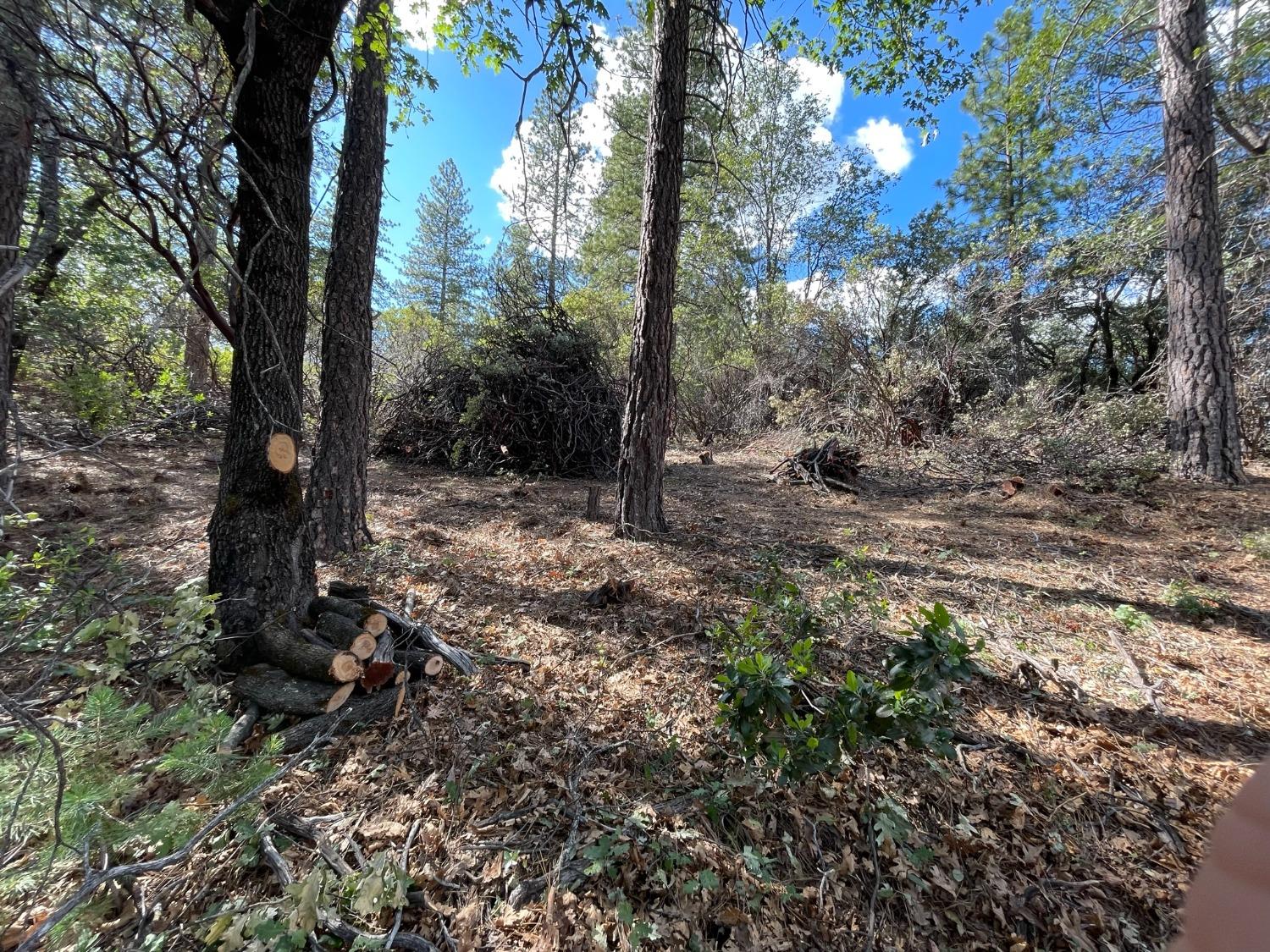 0 Loggers Trail Colfax, CA 95713 - Photo 18 of 54