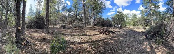 $60,000 | 0 Loggers Trail, Colfax, CA 95713