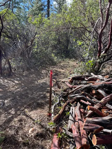 $60,000 | 0 Loggers Trail, Colfax, CA 95713