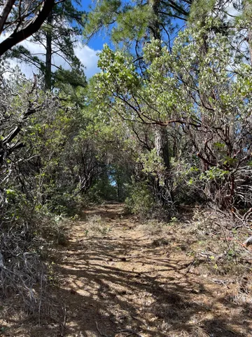 $60,000 | 0 Loggers Trail, Colfax, CA 95713