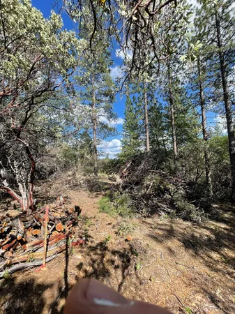 $60,000 | 0 Loggers Trail, Colfax, CA 95713