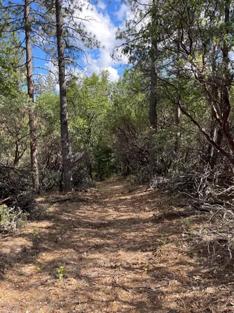 $60,000 | 0 Loggers Trail, Colfax, CA 95713