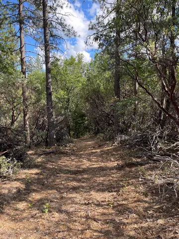 $60,000 | 0 Loggers Trail, Colfax, CA 95713