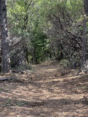 $60,000 | 0 Loggers Trail, Colfax, CA 95713