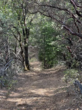 $60,000 | 0 Loggers Trail, Colfax, CA 95713
