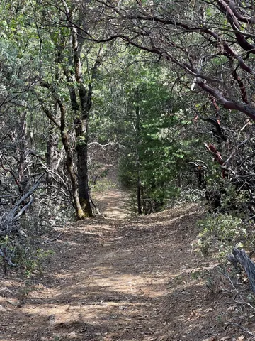 $60,000 | 0 Loggers Trail, Colfax, CA 95713